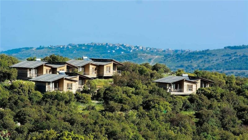 Ajloun Forest Reserve